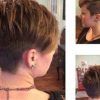 Feathered Pixie Hairstyles For Thin Hair (Photo 15 of 25)