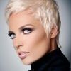 Gray Hair Pixie Hairstyles (Photo 6 of 15)