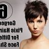 Short Haircuts For Square Face Shape (Photo 18 of 25)