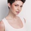 Short Pixie Hairstyles For Thick Hair (Photo 3 of 15)