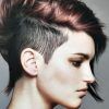 Punk Rock Pixie Hairstyles (Photo 2 of 15)