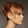 Highlighted Pixie Bob Hairstyles With Long Bangs (Photo 12 of 25)