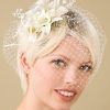 Wedding Hairstyles For Short Hair With Birdcage Veil (Photo 13 of 15)