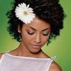 Wedding Hairstyles For Short Natural Curly Hair (Photo 2 of 15)