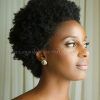 Wedding Hairstyles For Natural Afro Hair (Photo 13 of 15)
