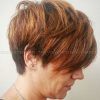Asymmetrical Copper Feathered Bangs Hairstyles (Photo 4 of 25)