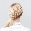 Low Side French Braid Hairstyles (Photo 10 of 15)