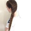 Two French Braids And Side Fishtail (Photo 4 of 15)