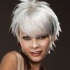 Sassy Silver Pixie Blonde Hairstyles (Photo 2 of 25)