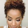 Casual Updos For Naturally Curly Hair (Photo 8 of 15)