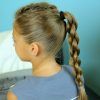 Twin Braid Updo Ponytail Hairstyles (Photo 14 of 25)