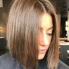 Shiny Strands Blunt Bob Hairstyles (Photo 1 of 25)