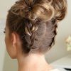 Braided Space Buns Updo Hairstyles (Photo 13 of 25)