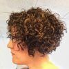Stacked Curly Bob Hairstyles (Photo 25 of 25)