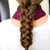 Three Strand Pigtails Braided Hairstyles (Photo 16 of 25)
