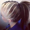 Two-Tone Braided Pony Hairstyles (Photo 3 of 15)