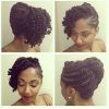 Natural Hair Updo Hairstyles For Weddings (Photo 3 of 15)