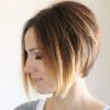 Neat Short Rounded Bob Hairstyles For Straight Hair (Photo 24 of 25)