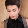 Cute Short Pixie Hairstyles (Photo 9 of 15)