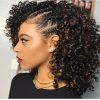 Braided Hairstyles With Curly Hair (Photo 2 of 15)