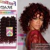 Curly Hairstyle With Crochet Braids (Photo 2 of 15)