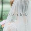 Tender Bridal Hairstyles With A Veil (Photo 10 of 25)