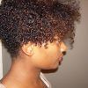 Short Haircuts For Curly Black Hair (Photo 8 of 25)