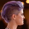 Extravagant Purple Mohawk Hairstyles (Photo 7 of 25)