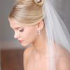 Wedding Hairstyles For Shoulder Length Hair With Veil (Photo 9 of 15)