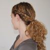 Brunette Ponytail Hairstyles With Braided Bangs (Photo 11 of 25)