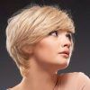Pixie Haircuts With Tapered Sideburns (Photo 5 of 25)