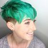 Sexy Pixie Hairstyles With Rocker Texture (Photo 6 of 25)