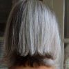Loose Layers Hairstyles With Silver Highlights (Photo 24 of 25)