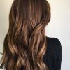 Warm-Toned Brown Hairstyles With Caramel Balayage (Photo 8 of 25)