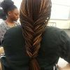 Micro Braids In Side Fishtail Braid (Photo 2 of 25)