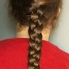Three Strand Pigtails Braided Hairstyles (Photo 18 of 25)