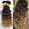 Brown To Blonde Ombre Curls Hairstyles (Photo 3 of 25)