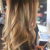 Highlights For Long Hairstyles (Photo 8 of 25)