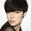 Thick Hair Pixie Hairstyles (Photo 12 of 15)