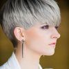 Short Hairstyles For Women With Gray Hair (Photo 22 of 25)