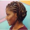 2 Strand Twist Updo Hairstyles (Photo 8 of 15)