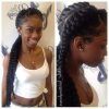 Braided Hairstyles With Two Braids (Photo 1 of 15)