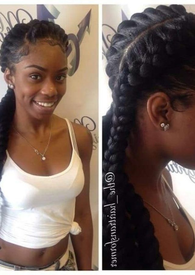 The Best Braided Hairstyles with Two Braids