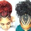 Braided Hairstyles For Natural Hair (Photo 11 of 15)