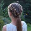 French Pull Back Braids Into Ponytail (Photo 1 of 15)
