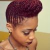 Natural Cornrows And Twist Hairstyles (Photo 11 of 15)