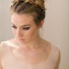 Braided Crown Updo Hairstyles (Photo 10 of 15)