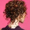 Updo Hairstyles For Long Curly Hair (Photo 13 of 15)
