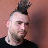 Steel Colored Mohawk Hairstyles (Photo 14 of 25)
