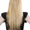 V-Cut Layers Hairstyles For Thick Hair (Photo 13 of 25)